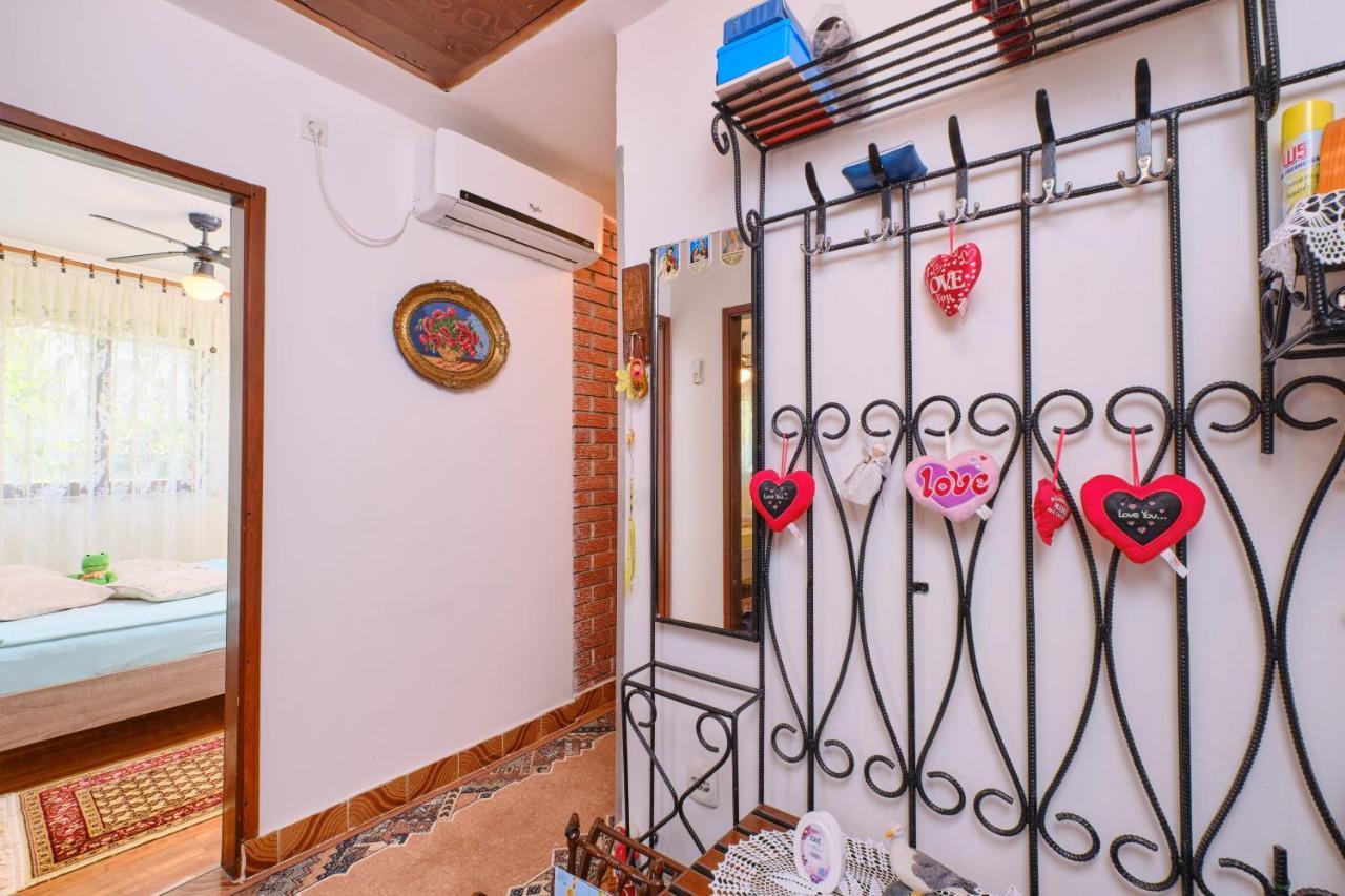 Ana Apartment *